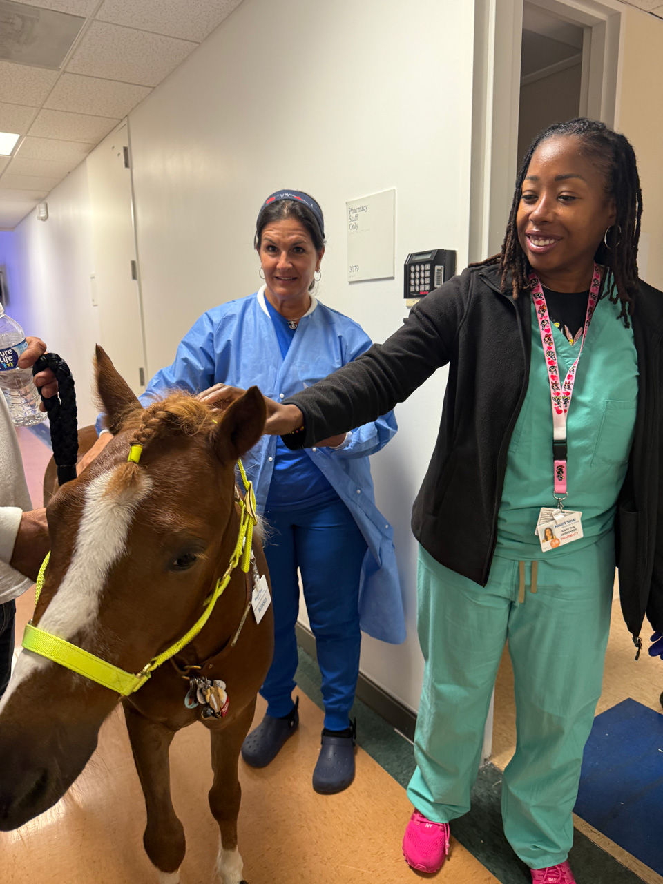 Pegasus at Mount Sinai - June 19, 2025 | Ale Ramos Therapy Animals