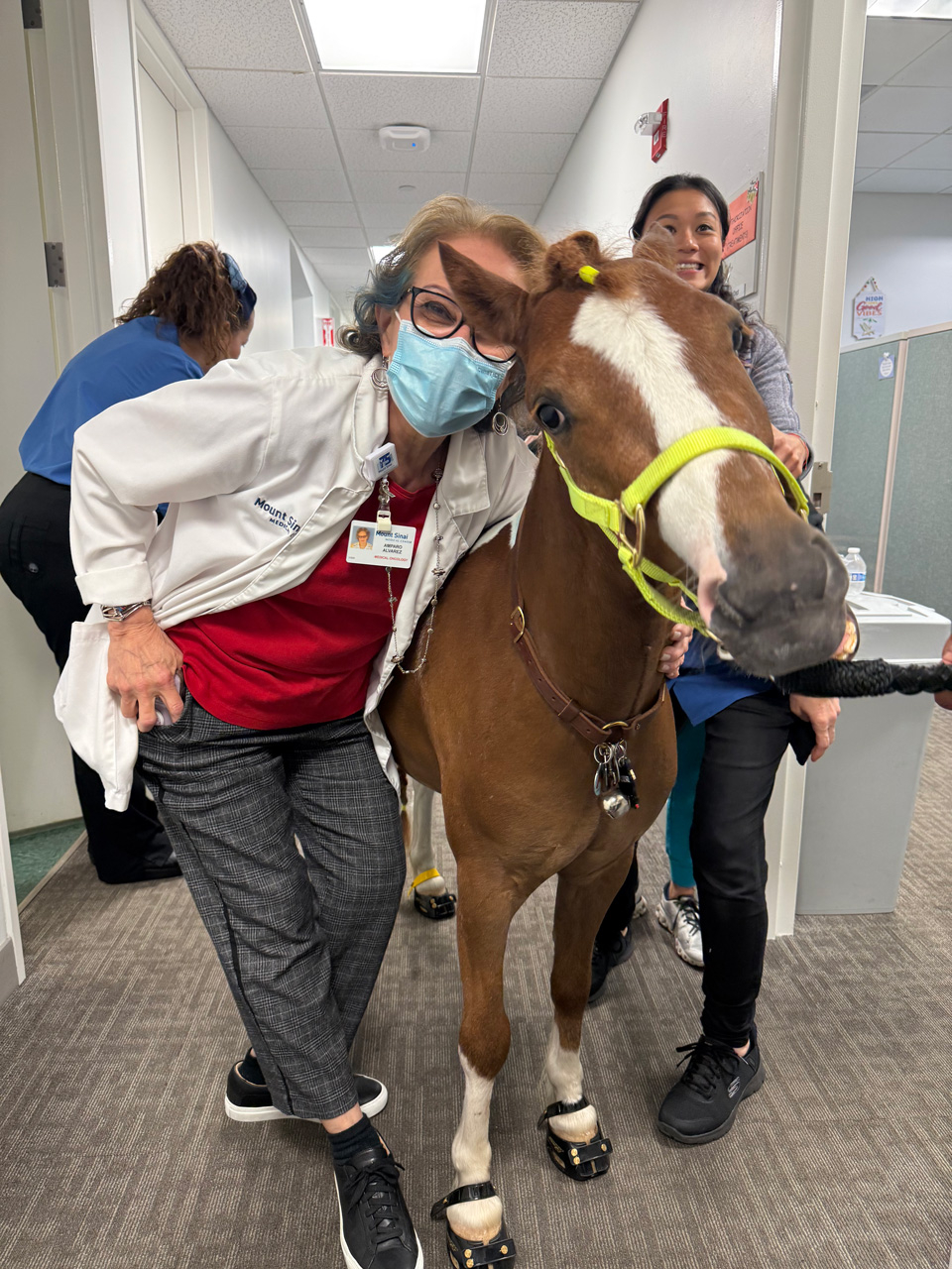 Pegasus at Mount Sinai - June 19, 2025 | Ale Ramos Therapy Animals