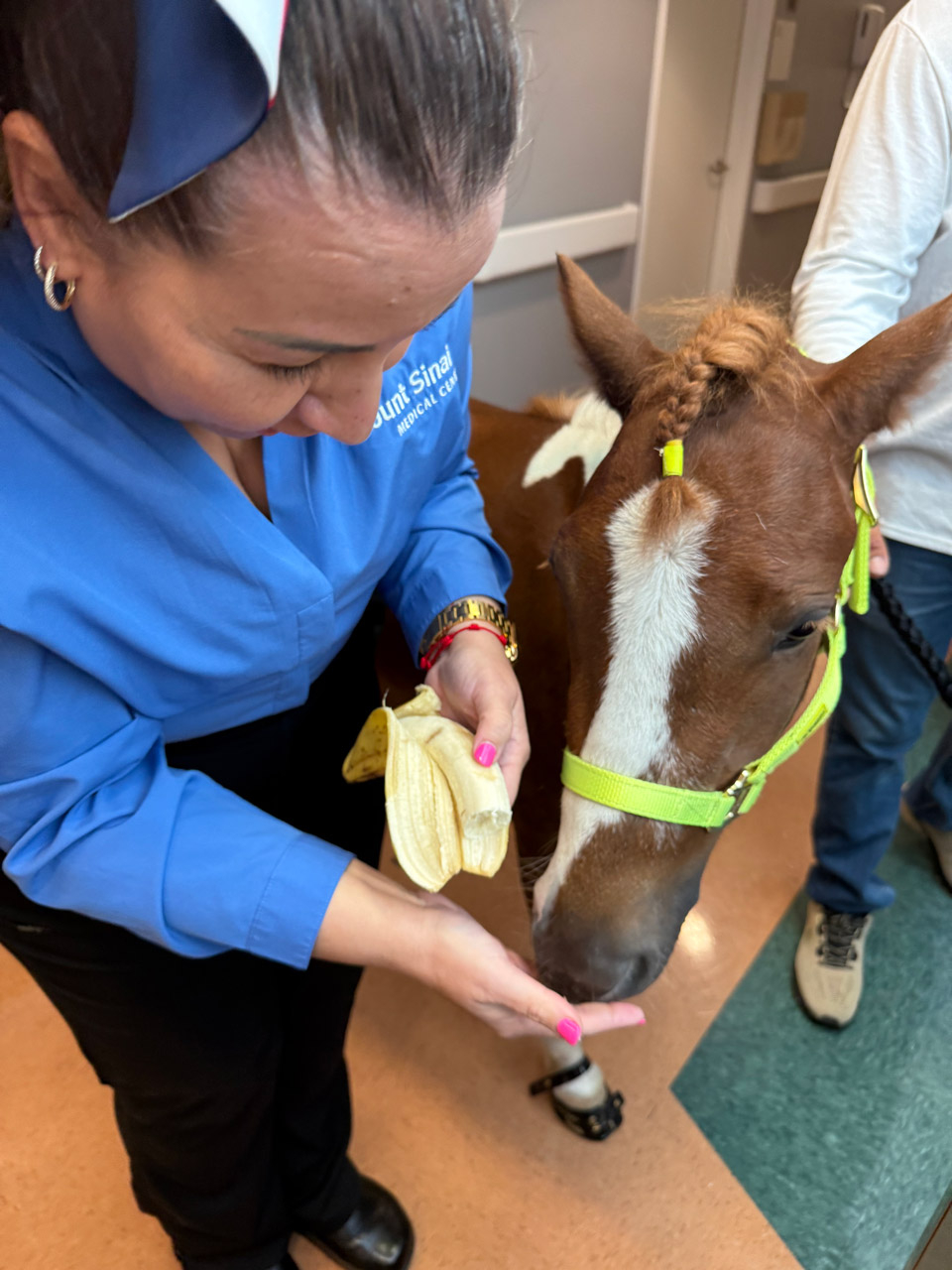 Pegasus at Mount Sinai - June 19, 2025 | Ale Ramos Therapy Animals