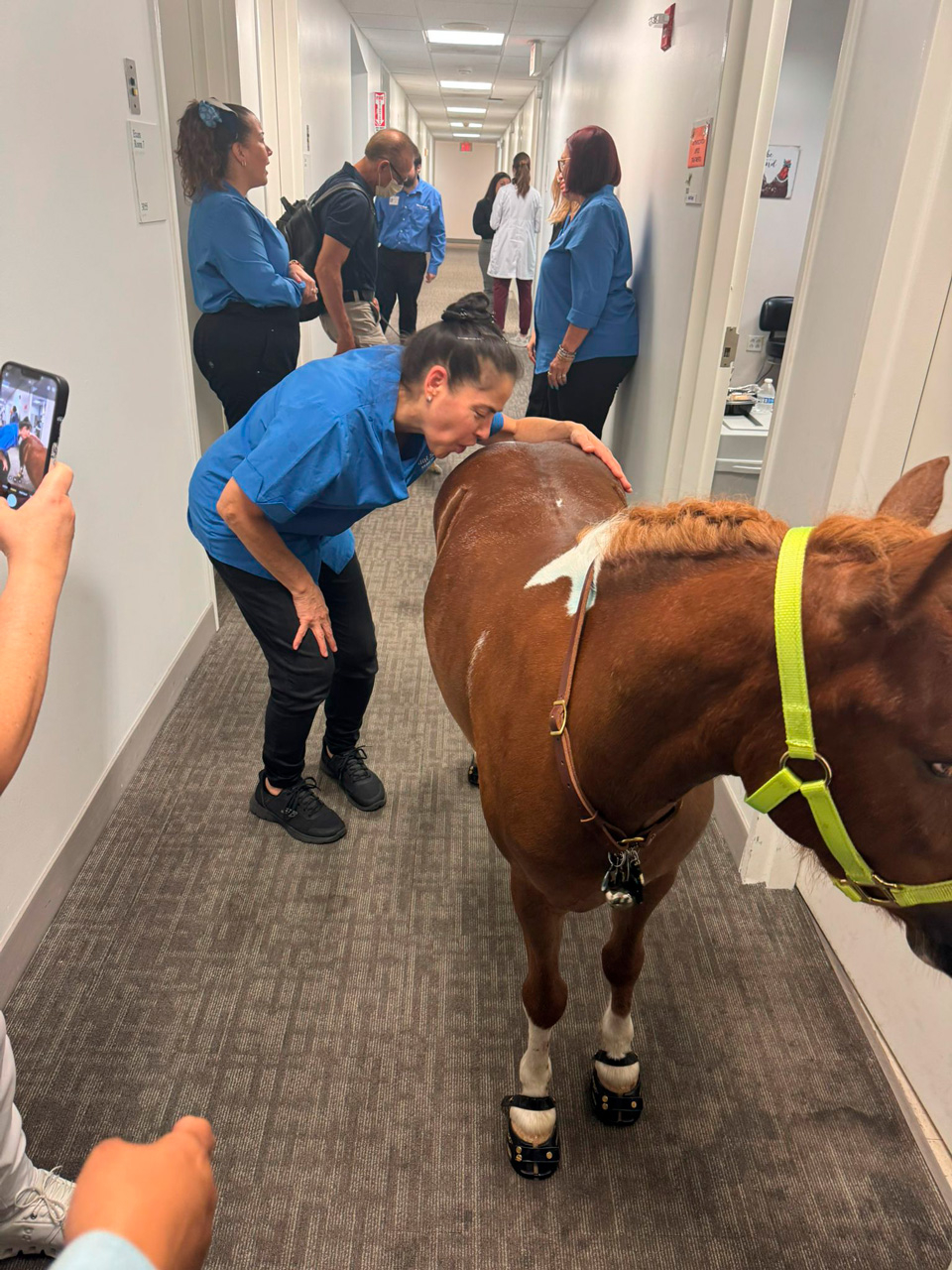 Pegasus at Mount Sinai - June 19, 2025 | Ale Ramos Therapy Animals