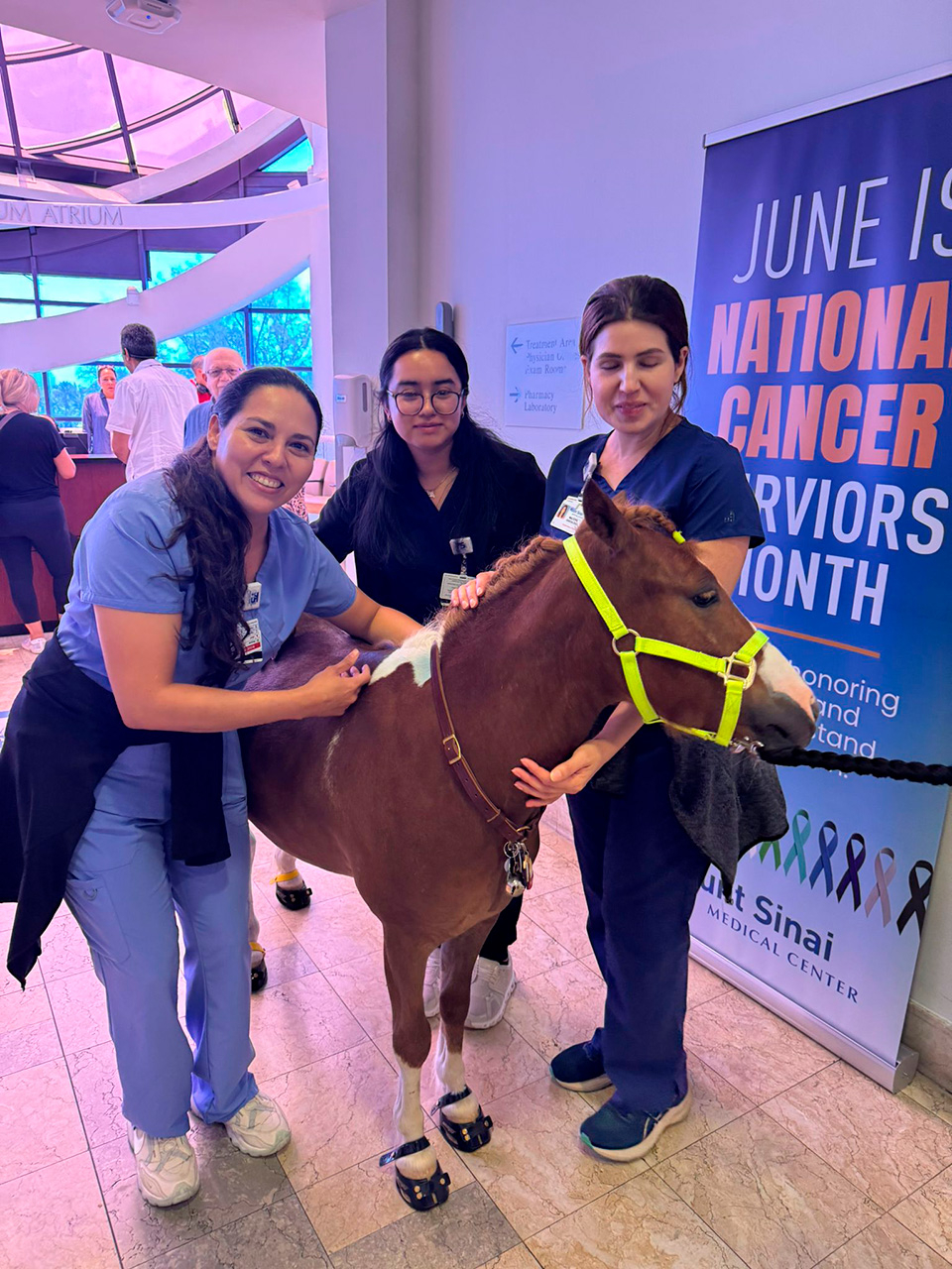 Pegasus at Mount Sinai - June 19, 2025 | Ale Ramos Therapy Animals