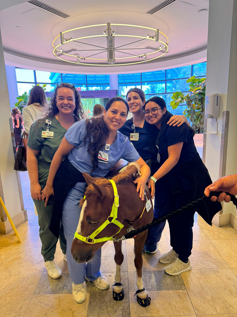 Pegasus at Mount Sinai - June 19, 2025 | Ale Ramos Therapy Animals