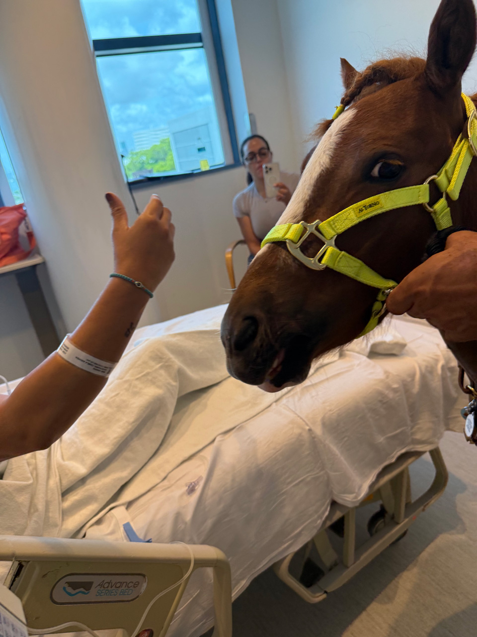 Pegasus at Mount Sinai - June 19, 2025 | Ale Ramos Therapy Animals