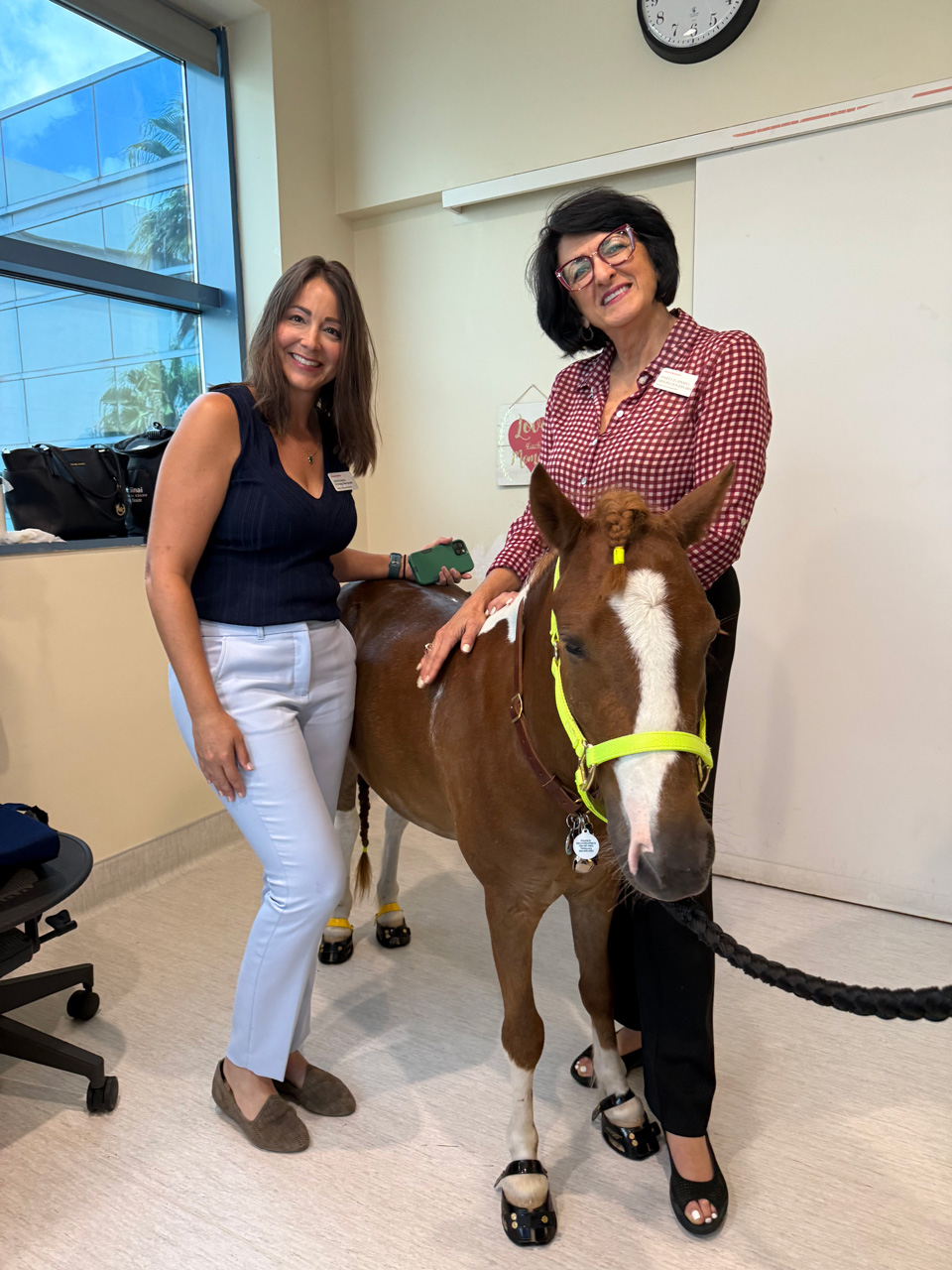 Pegasus at Mount Sinai - June 19, 2025 | Ale Ramos Therapy Animals