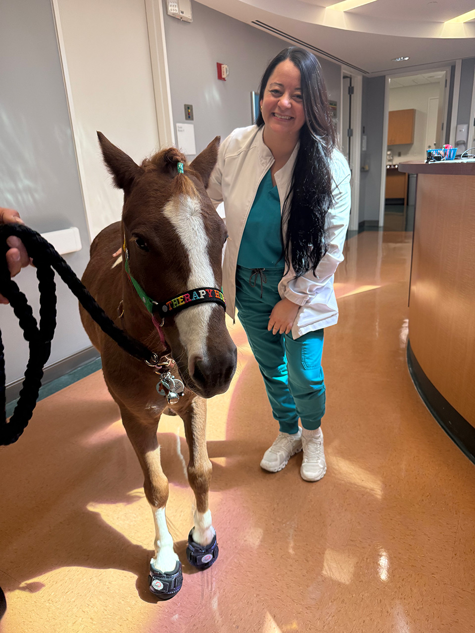 Pegasus at Mount Sinai - March 12, 2025 | Ale Ramos Therapy Animals