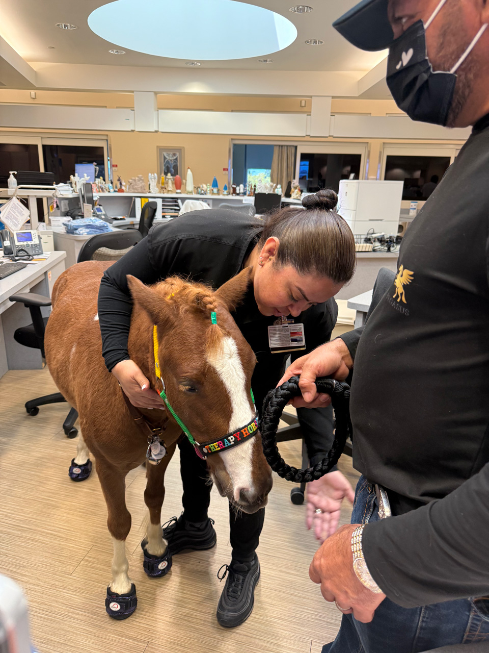 Pegasus at Mount Sinai - March 12, 2025 | Ale Ramos Therapy Animals