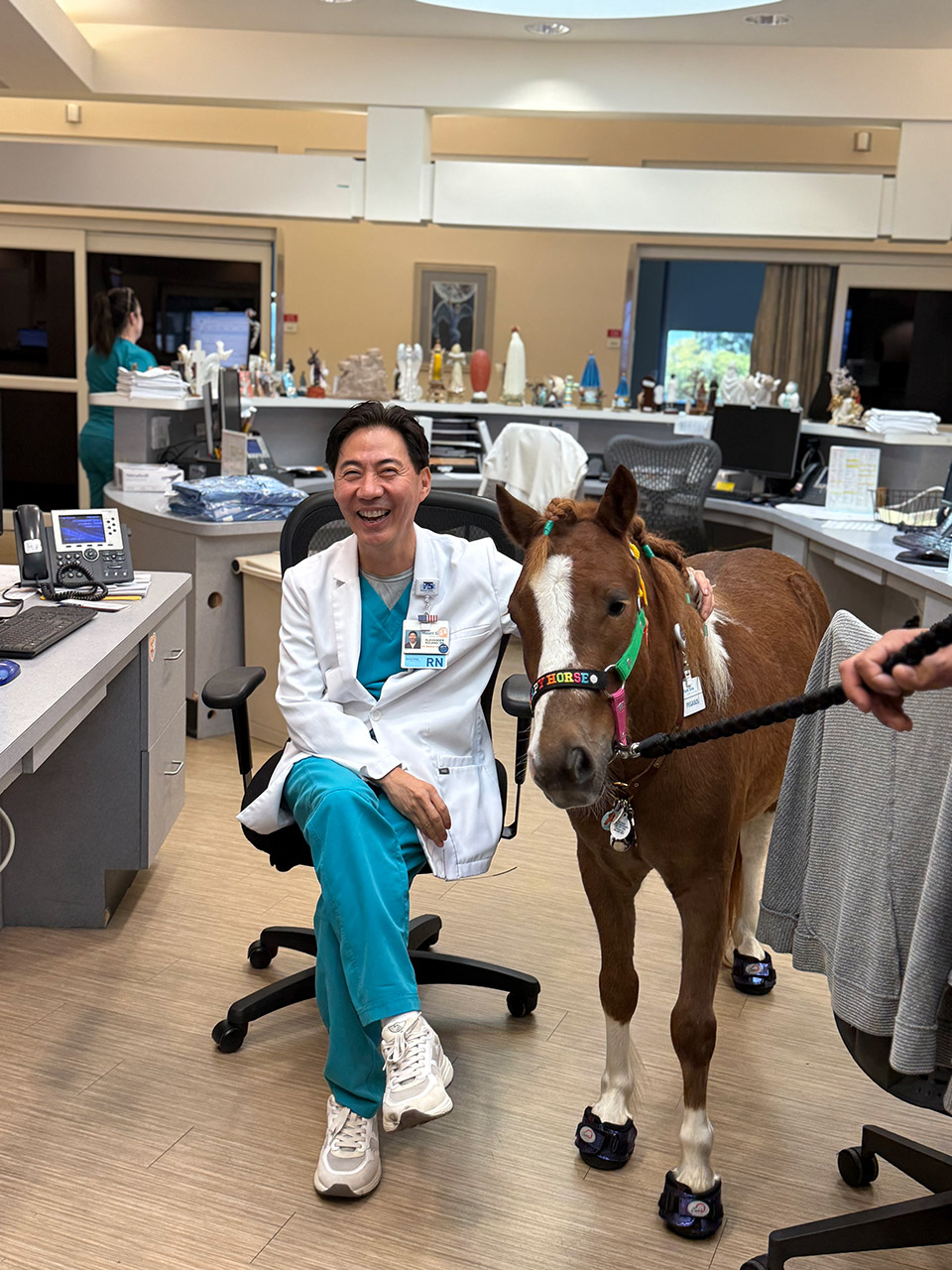 Pegasus at Mount Sinai - March 12, 2025 | Ale Ramos Therapy Animals