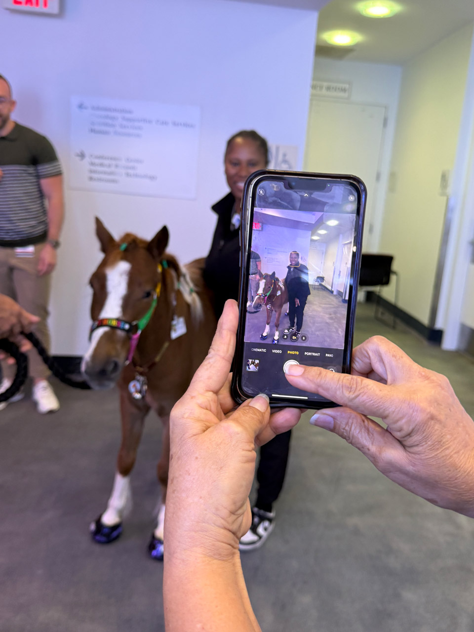 Pegasus at Mount Sinai - March 12, 2025 | Ale Ramos Therapy Animals