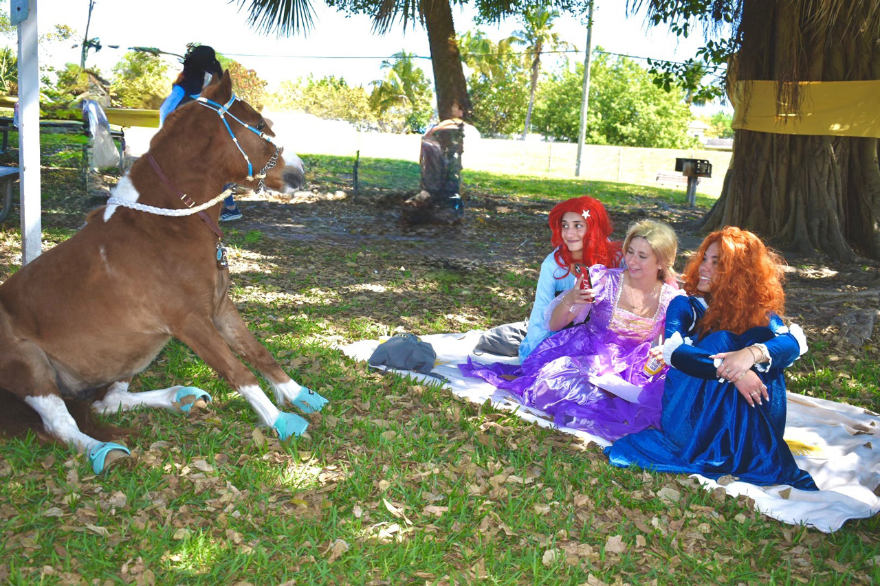 Pegasus at Super Heroe event - March 8, 2025 | Ale Ramos Therapy Animals