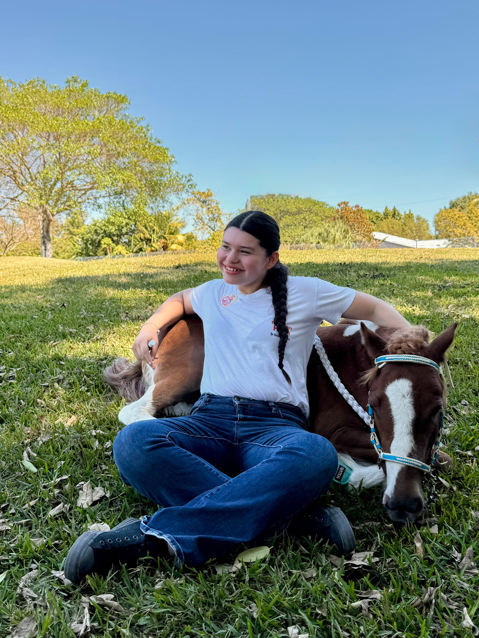 Pegasus at Super Heroe event - March 8, 2025 | Ale Ramos Therapy Animals