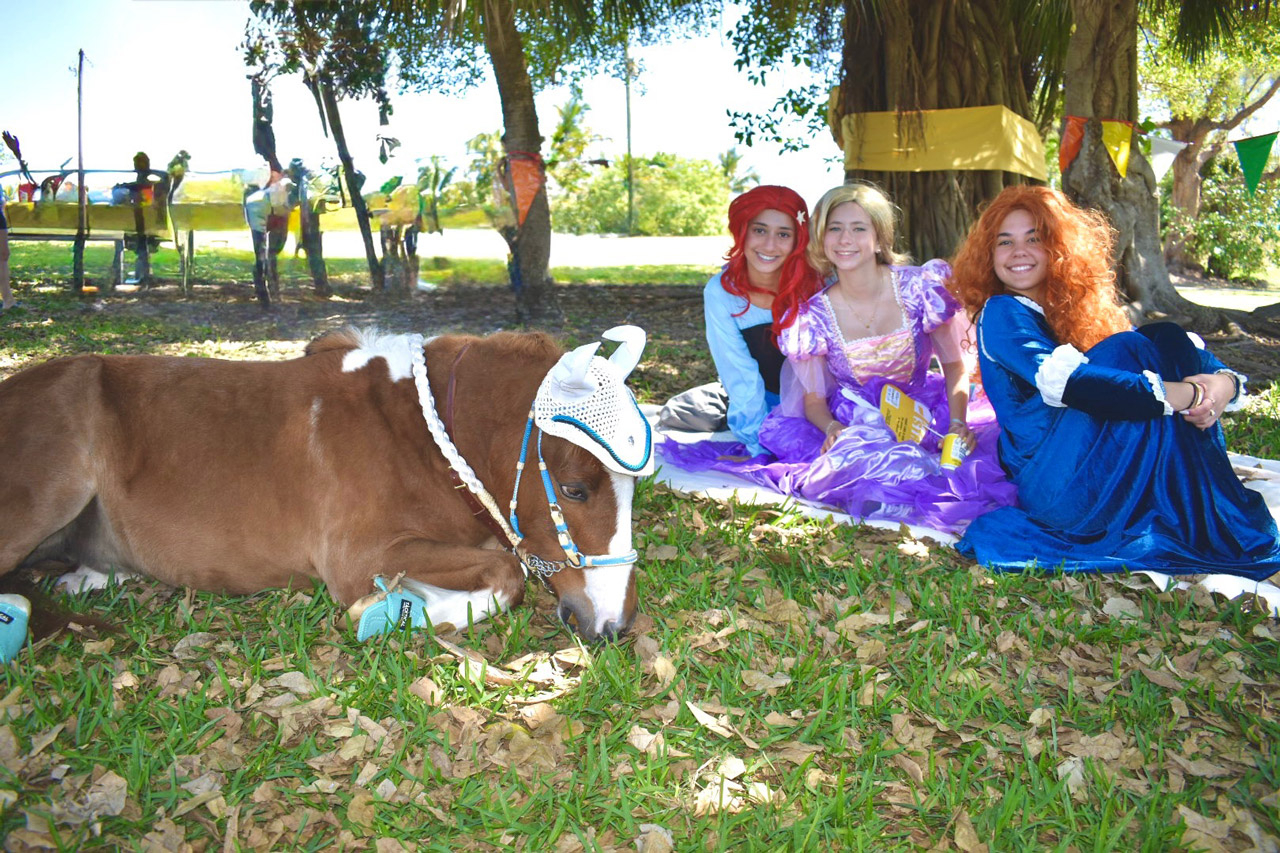 Pegasus at Super Heroe event - March 8, 2025 | Ale Ramos Therapy Animals