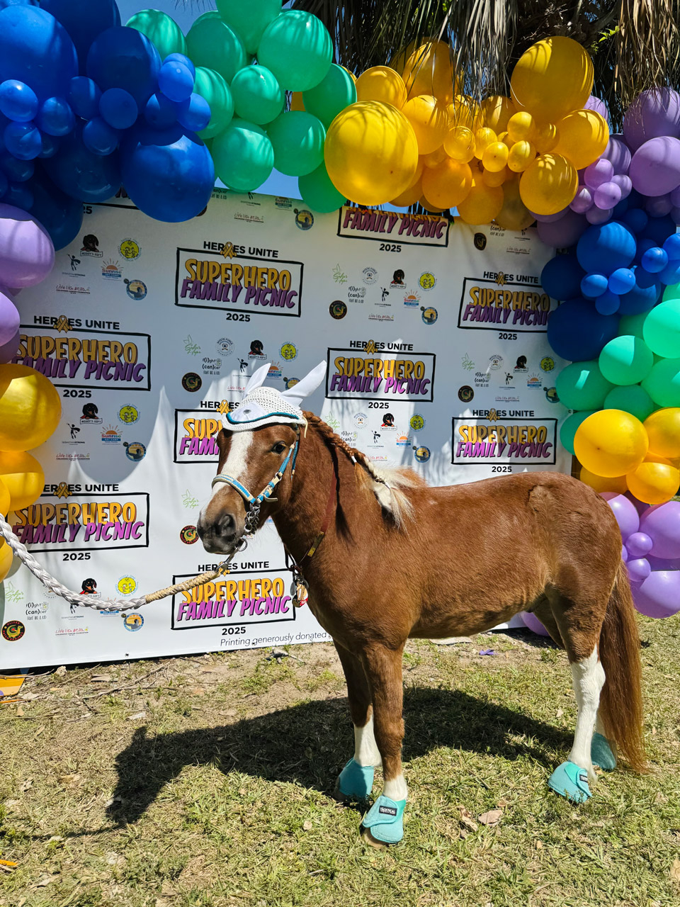 Pegasus at Super Heroe event - March 8, 2025 | Ale Ramos Therapy Animals