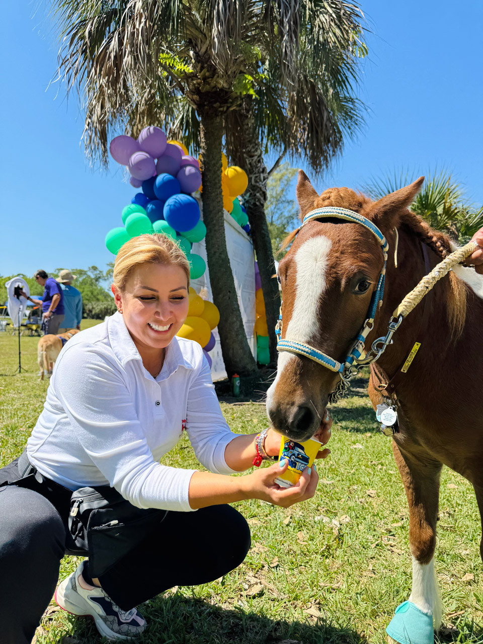 Pegasus at Super Heroe event - March 8, 2025 | Ale Ramos Therapy Animals