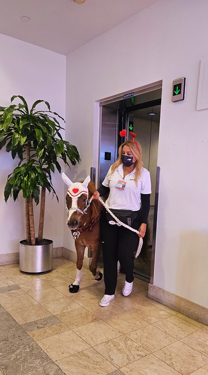 Pegasus celebrate Valentines at Mount Sinai Medical Center - Febrero 14, 2025 | Ale Ramos Therapy Animals