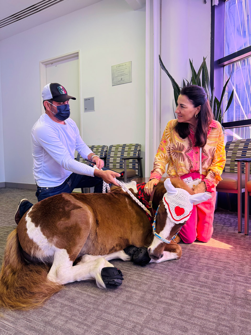 Pegasus celebrate Valentines at Mount Sinai Medical Center - Febrero 14, 2025 | Ale Ramos Therapy Animals