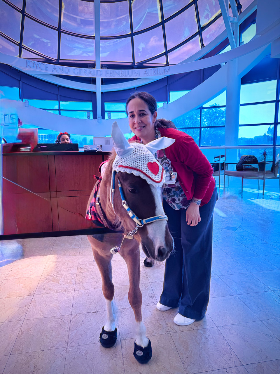 Pegasus celebrate Valentines at Mount Sinai Medical Center - Febrero 14, 2025 | Ale Ramos Therapy Animals