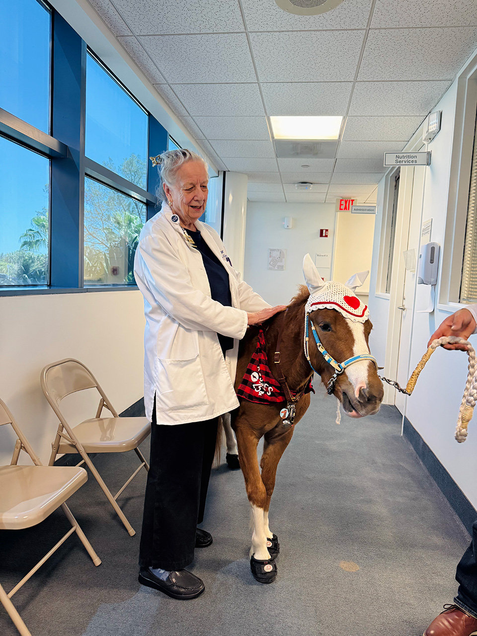 Pegasus celebrate Valentines at Mount Sinai Medical Center - Febrero 14, 2025 | Ale Ramos Therapy Animals