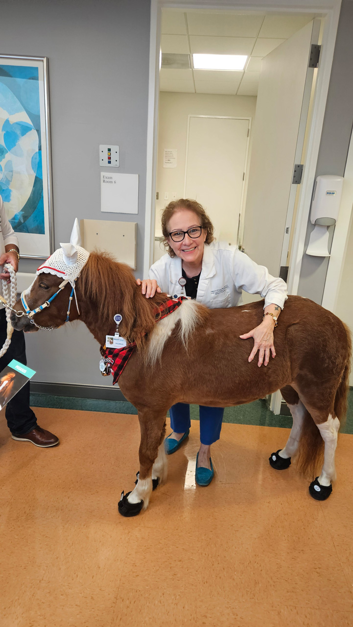 Pegasus celebrate Valentines at Mount Sinai Medical Center - Febrero 14, 2025 | Ale Ramos Therapy Animals