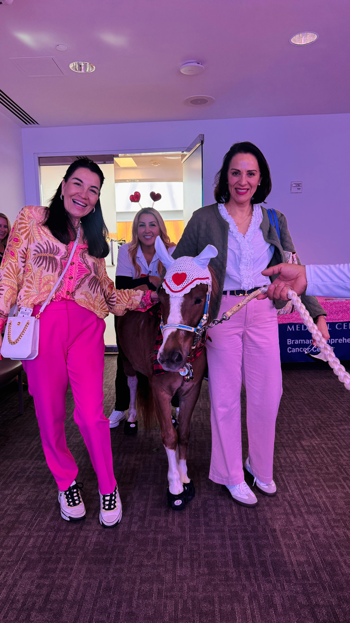 Pegasus celebrate Valentines at Mount Sinai Medical Center - Febrero 14, 2025 | Ale Ramos Therapy Animals