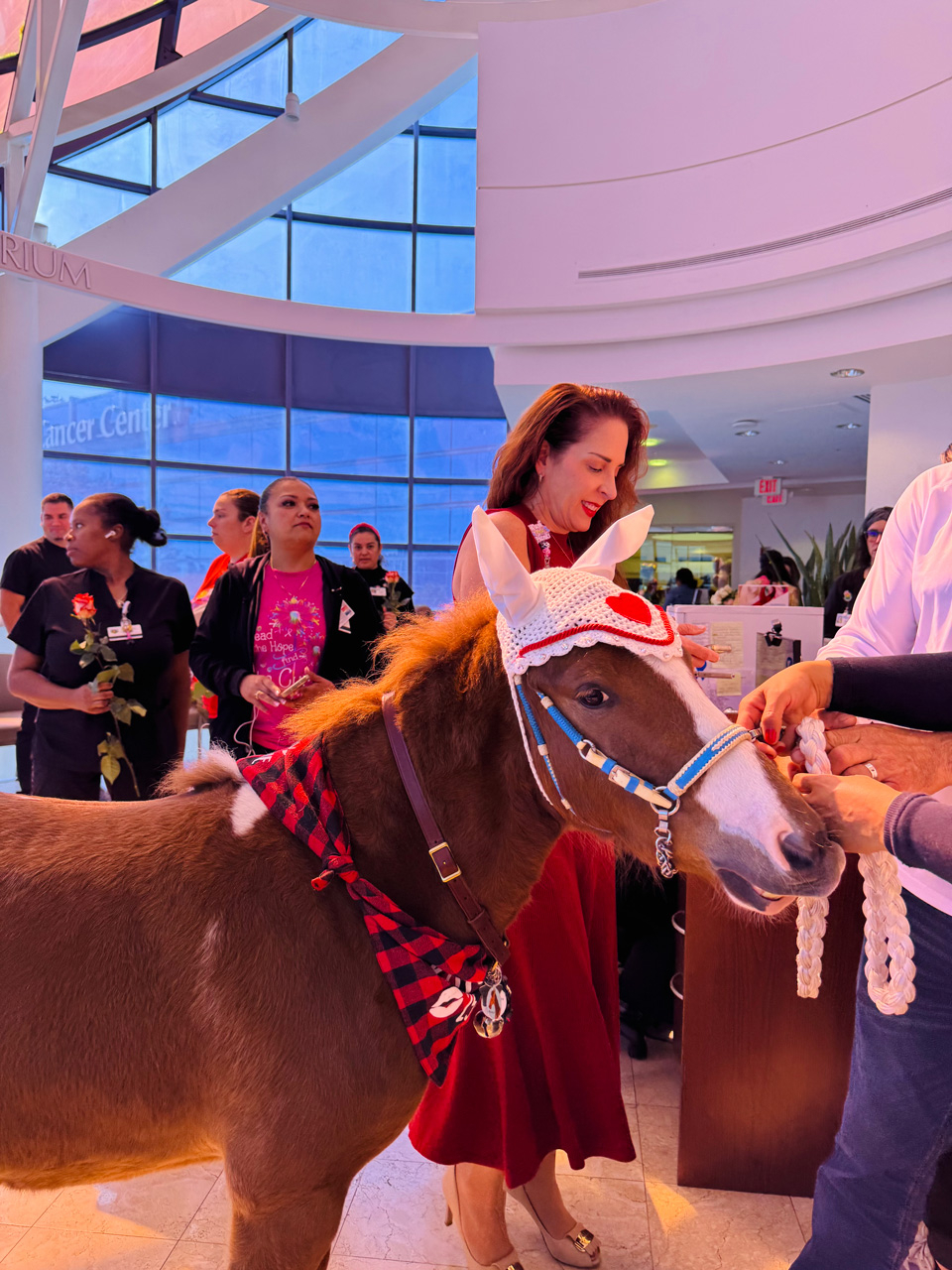 Pegasus celebrate Valentines at Mount Sinai Medical Center - Febrero 14, 2025 | Ale Ramos Therapy Animals