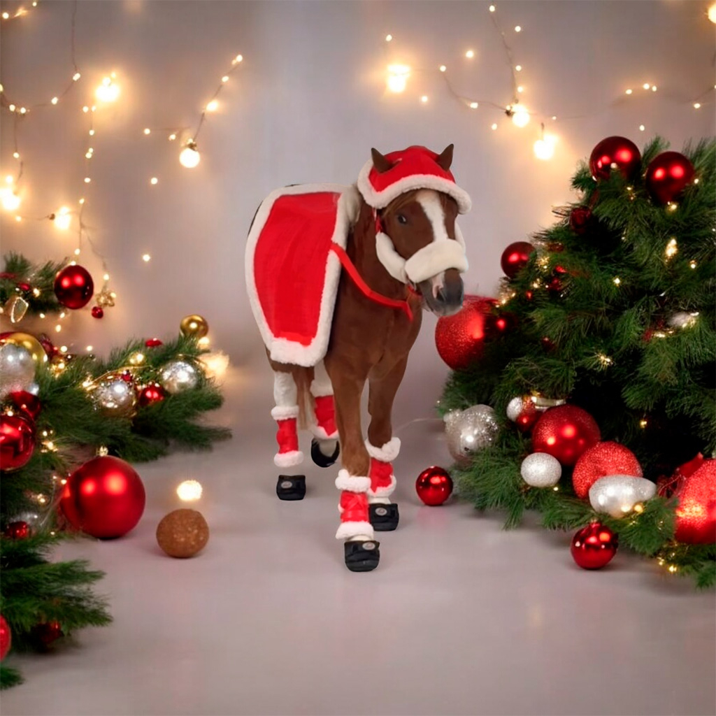 Pegasus visit -  December 2024 | Ale Ramos Therapy Animals