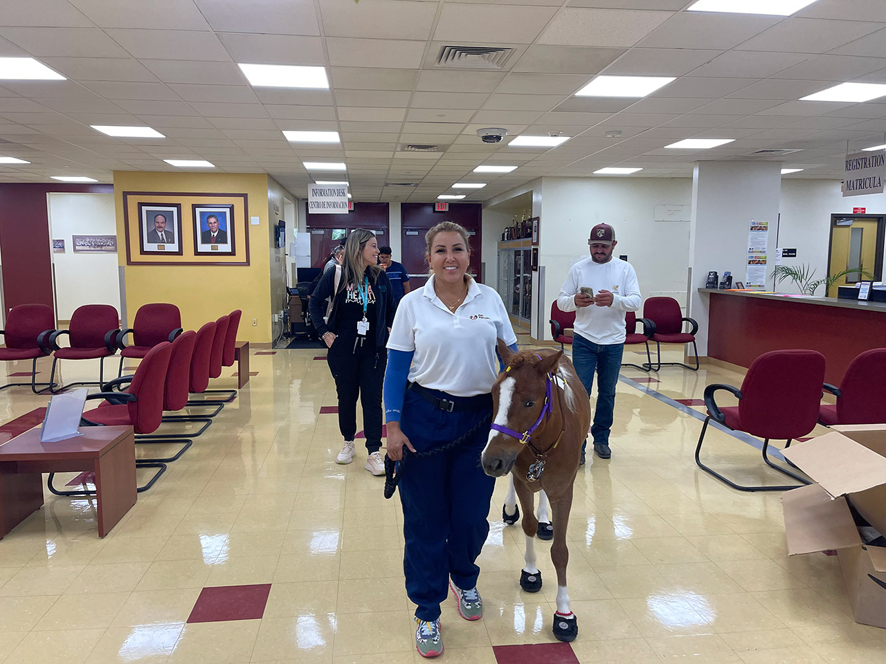 Pegasus visit Barbara Goleman School - April 24, 2025 | Ale Ramos Therapy Animals