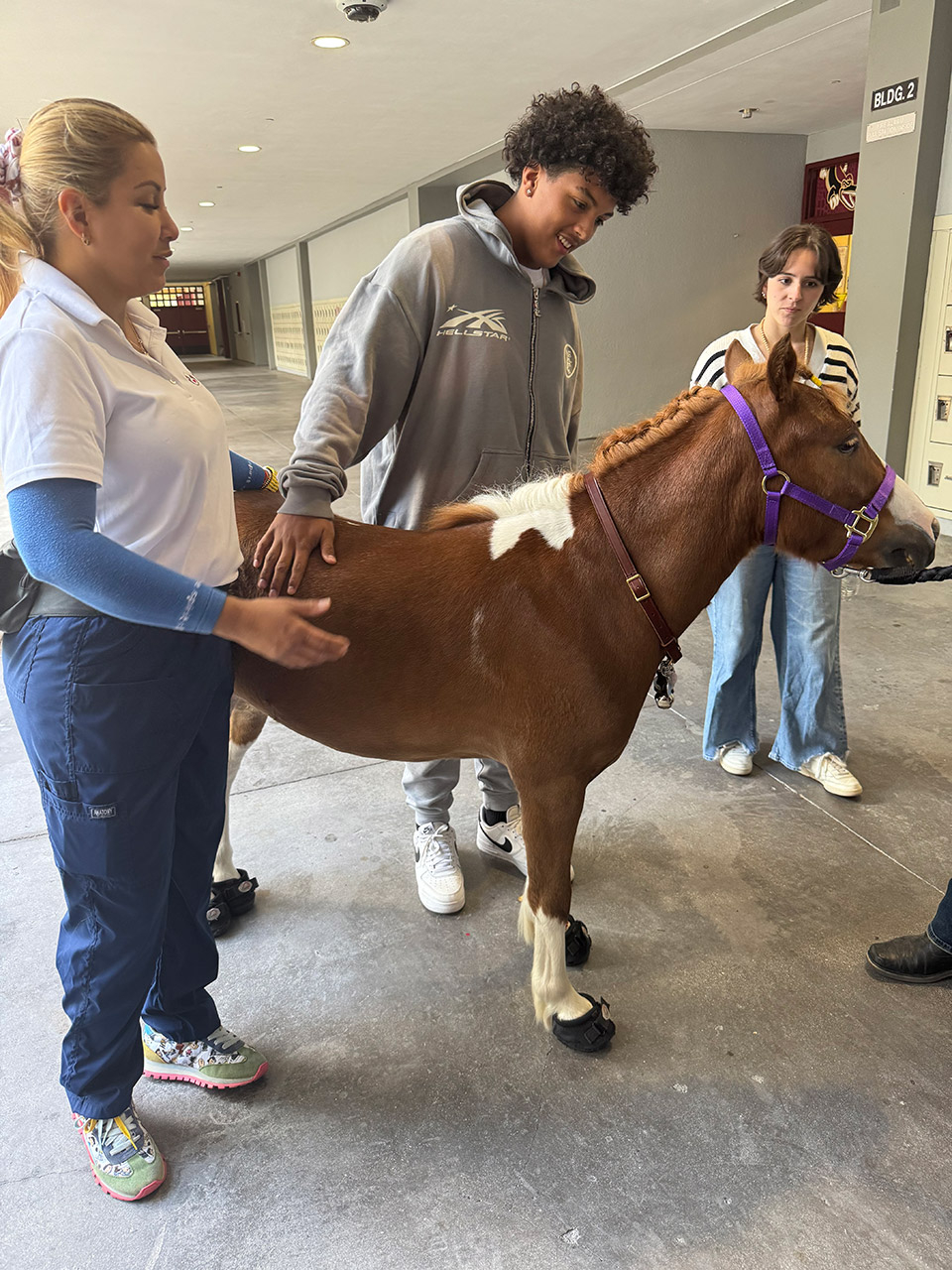 Pegasus visit Barbara Goleman School - April 24, 2025 | Ale Ramos Therapy Animals