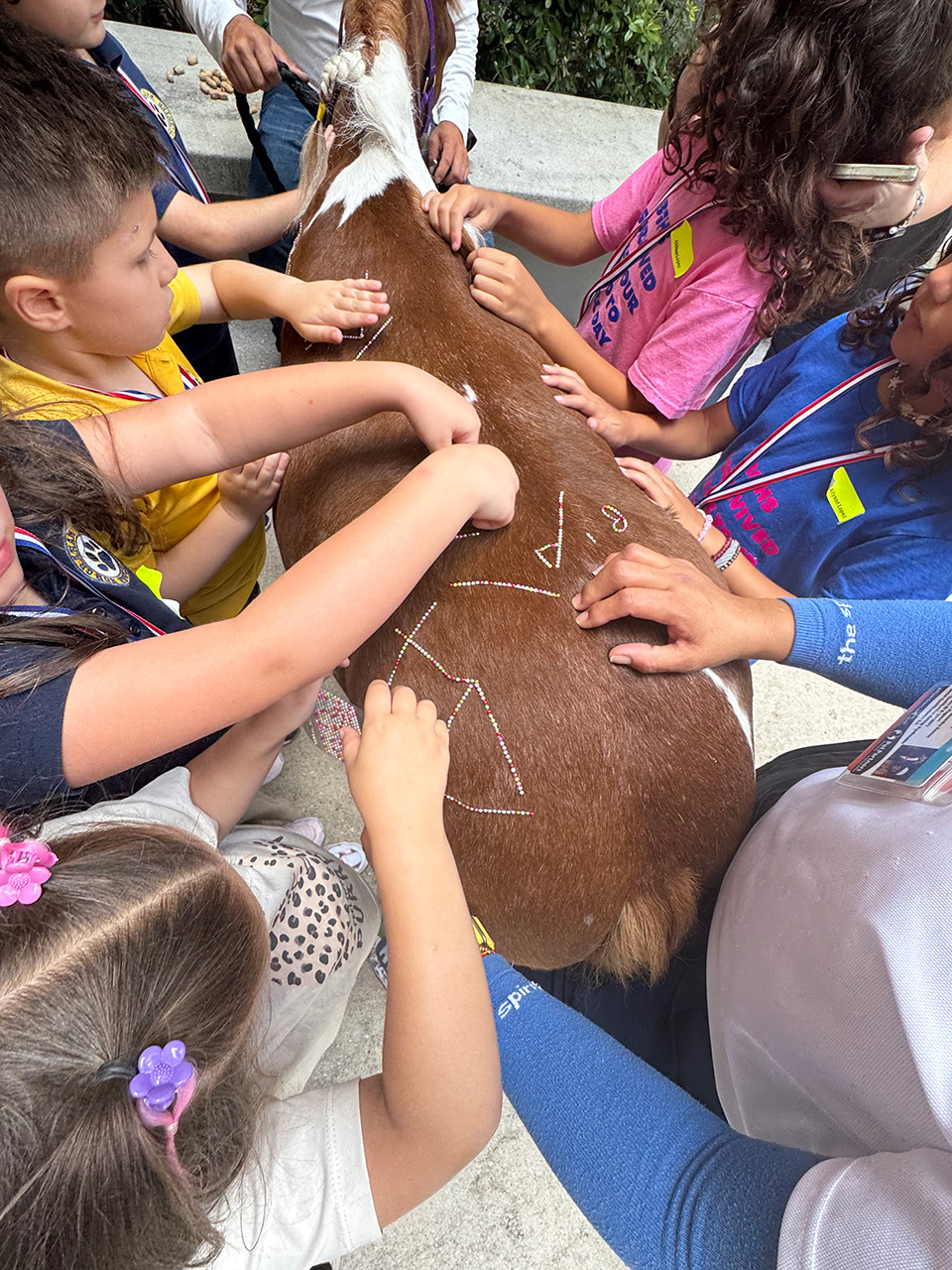 Pegasus visit Barbara Goleman School - April 24, 2025 | Ale Ramos Therapy Animals
