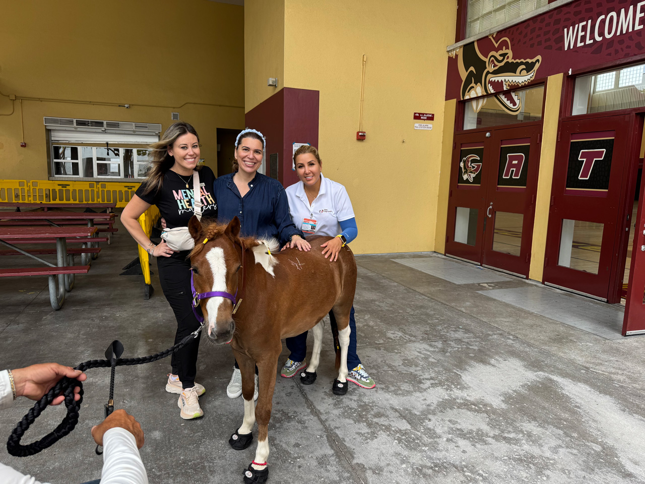 Pegasus visit Barbara Goleman School - April 24, 2025 | Ale Ramos Therapy Animals