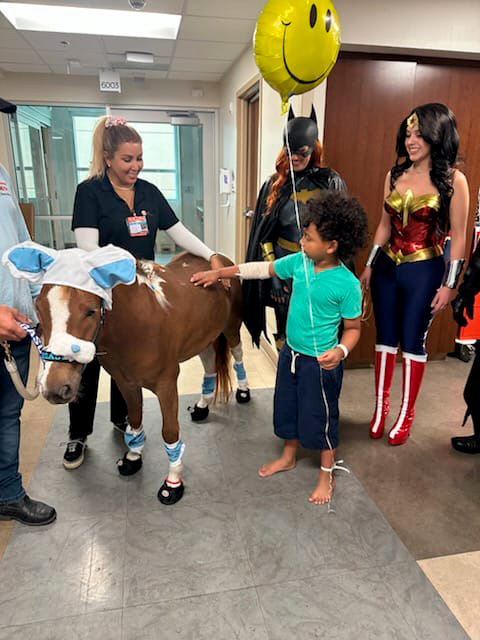 Pegasus visit Florida Kendall Hospital - April 17, 2025 | Ale Ramos Therapy Animals
