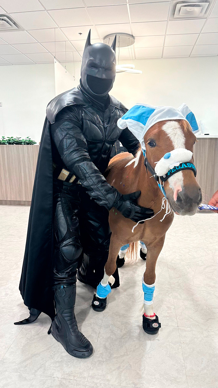 Pegasus visit Florida Kendall Hospital - April 17, 2025 | Ale Ramos Therapy Animals