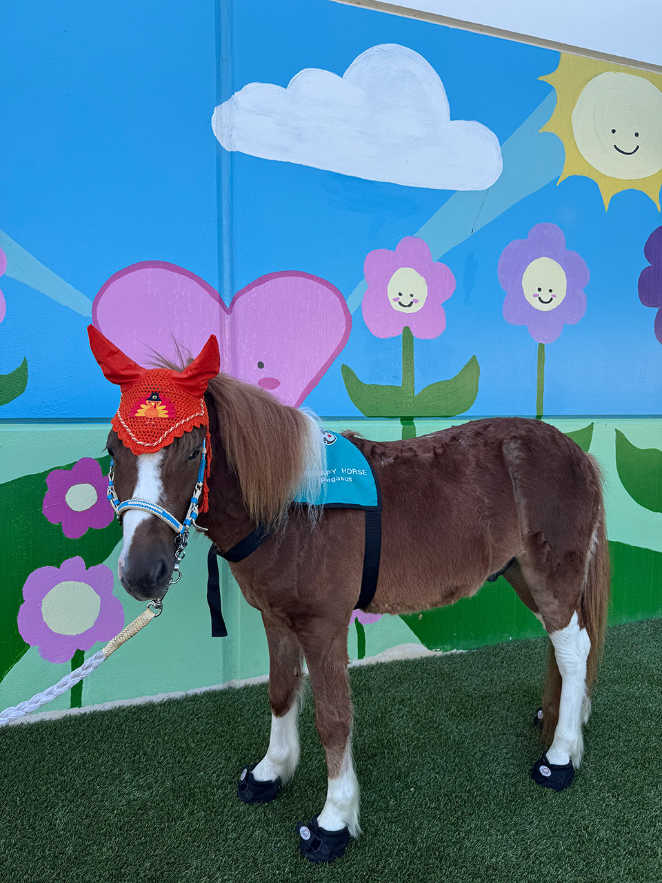 Pegasus visit Patches - PPEC | Ale Ramos Therapy Animals