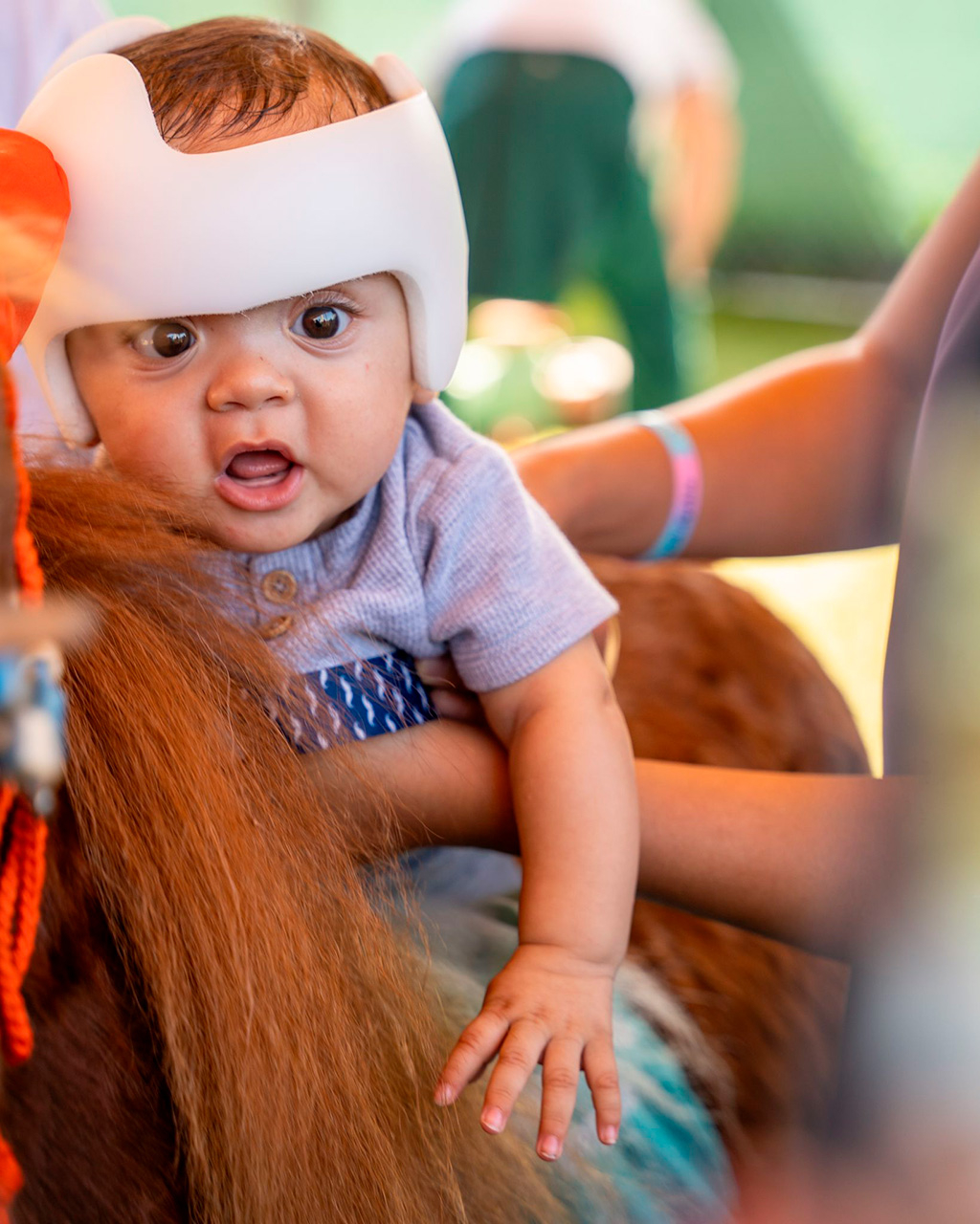 Pegasus visit Patches - PPEC | Ale Ramos Therapy Animals