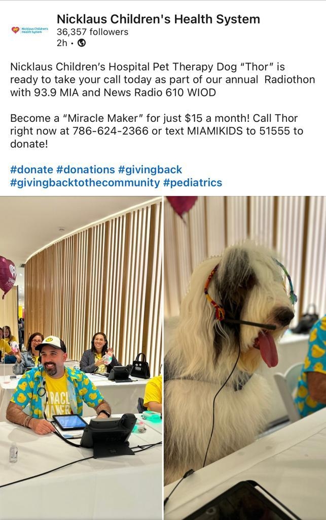 Pet Therapy Dog “Thor” is ready to take your call today! | Alexandra Ramos Therapy Animals