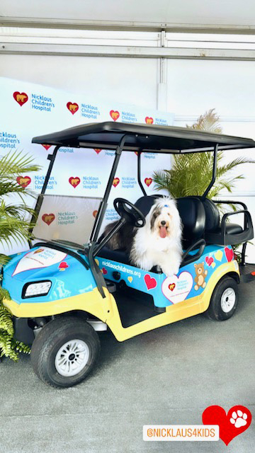 PGA National Park by Nicklaus Children’s Hospital with Thor 2024 | Ale Ramos Therapy Animals