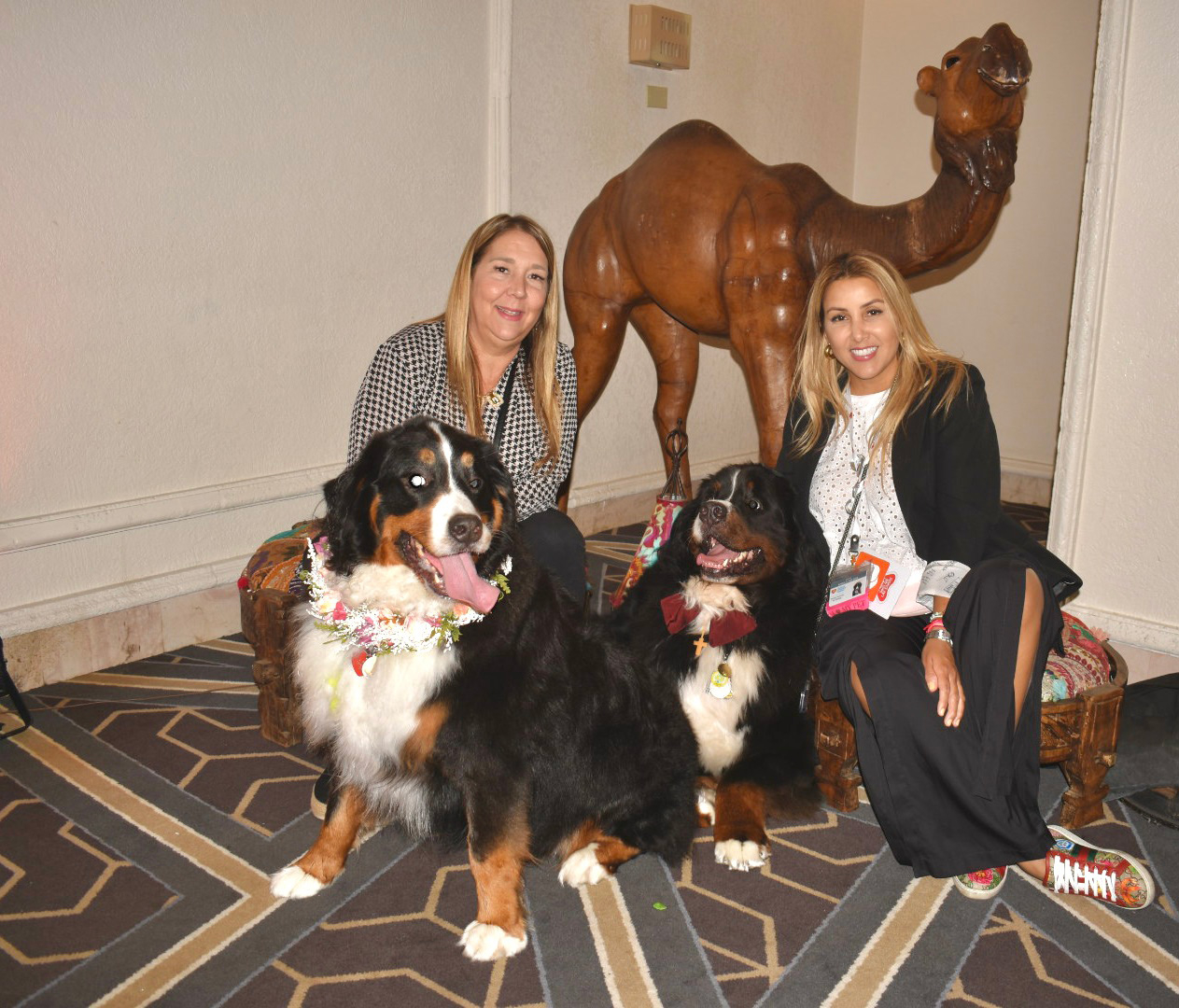  June 9, 2023 | Ale Ramos Therapy Animals