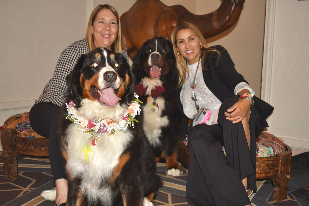  June 9, 2023 | Ale Ramos Therapy Animals