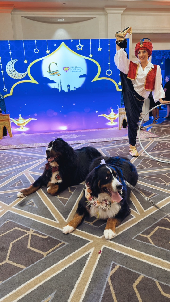  June 9, 2023 | Ale Ramos Therapy Animals