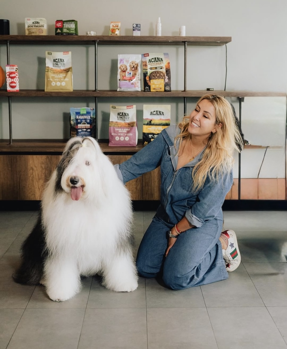 Promotion D.O.G. Hotels 2025 | Alexandra Ramos Therapy Animals