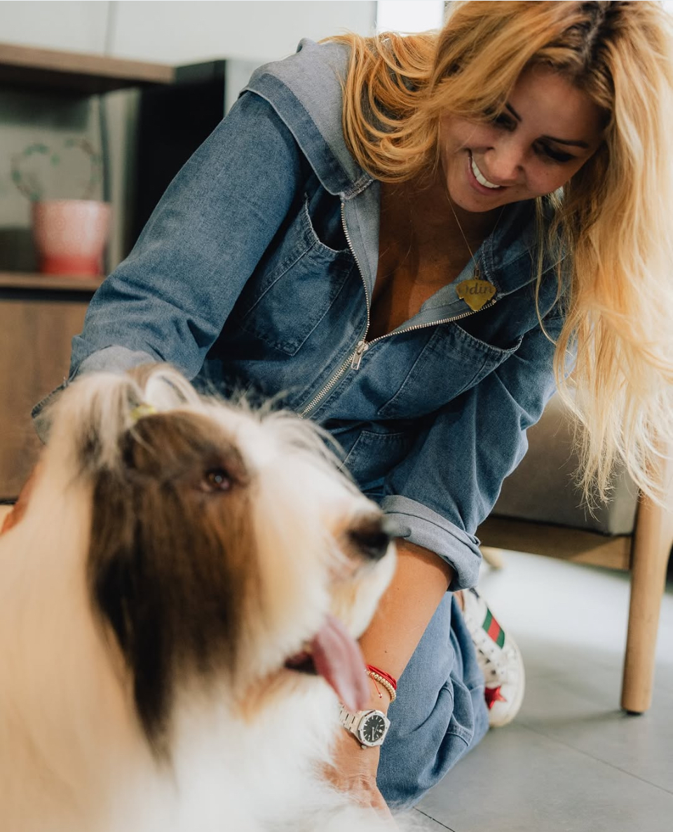 Promotion D.O.G. Hotels 2025 | Alexandra Ramos Therapy Animals