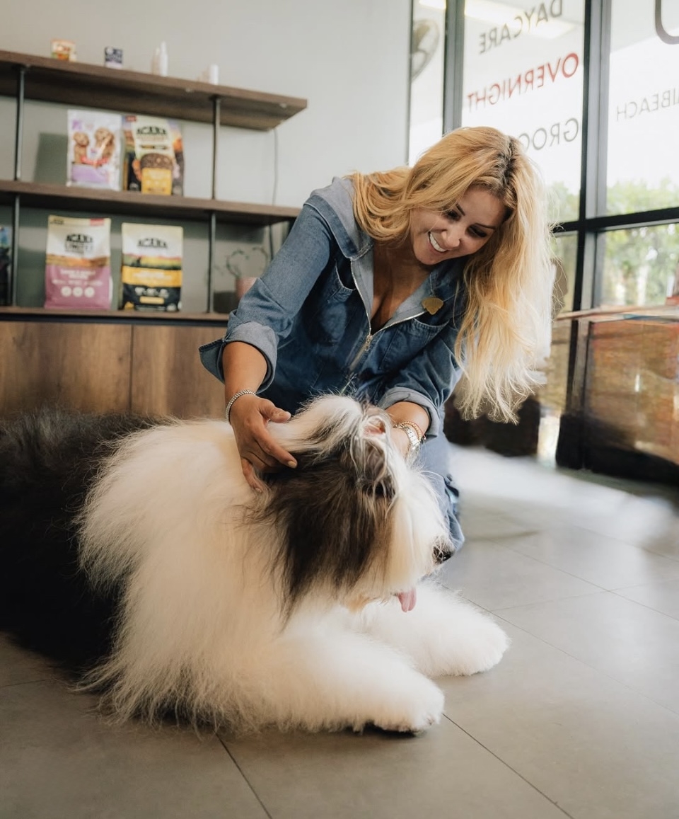 Promotion D.O.G. Hotels 2025 | Alexandra Ramos Therapy Animals