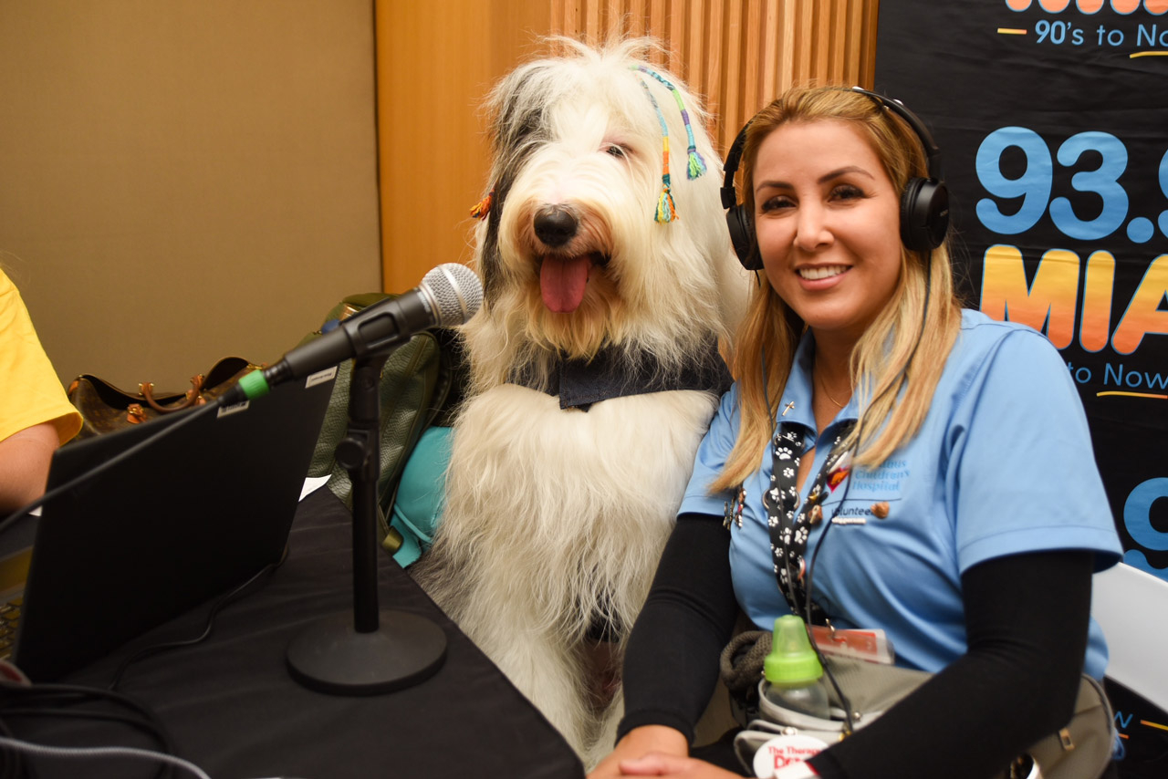  Nov 2, 2023 | Ale Ramos Therapy Animals
