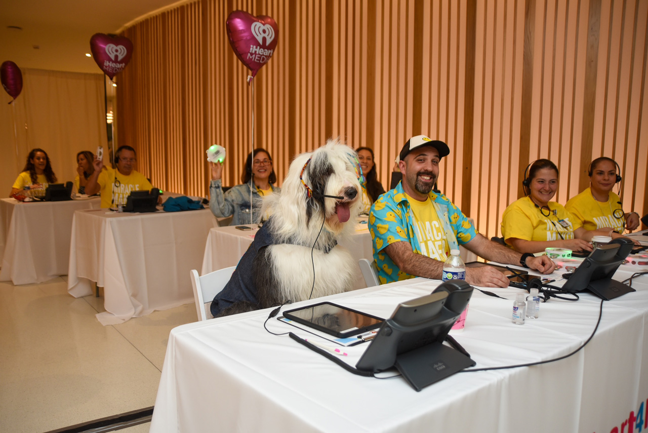  Nov 2, 2023 | Ale Ramos Therapy Animals