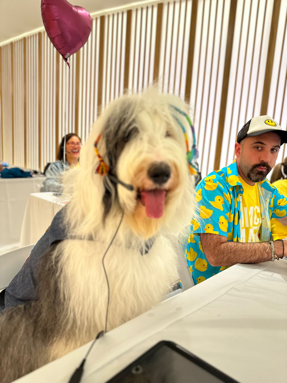  Nov 2, 2023 | Ale Ramos Therapy Animals