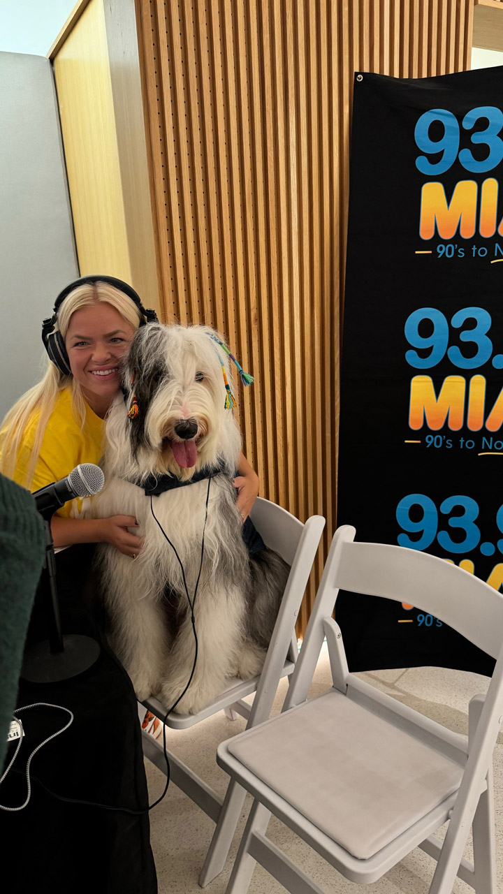  Nov 2, 2023 | Ale Ramos Therapy Animals