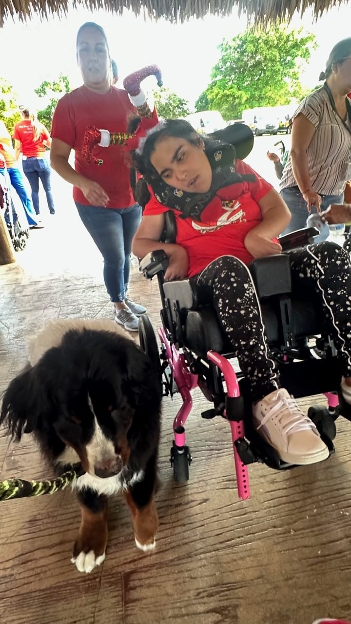 Santa Paws at Big Bear Academy | Ale Ramos Therapy Animals