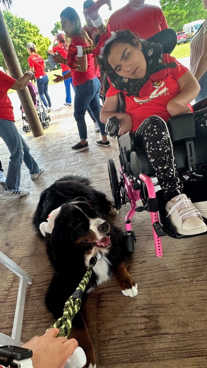 Santa Paws at Big Bear Academy | Ale Ramos Therapy Animals