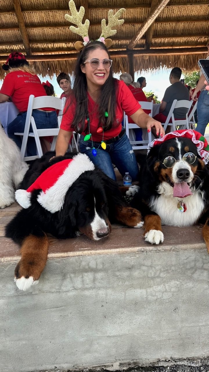 Santa Paws at Big Bear Academy | Ale Ramos Therapy Animals