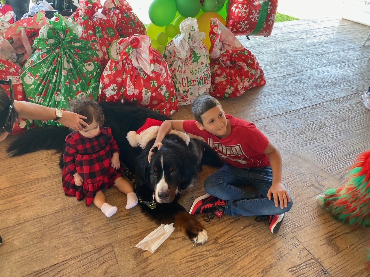 Santa Paws at Big Bear Academy | Ale Ramos Therapy Animals
