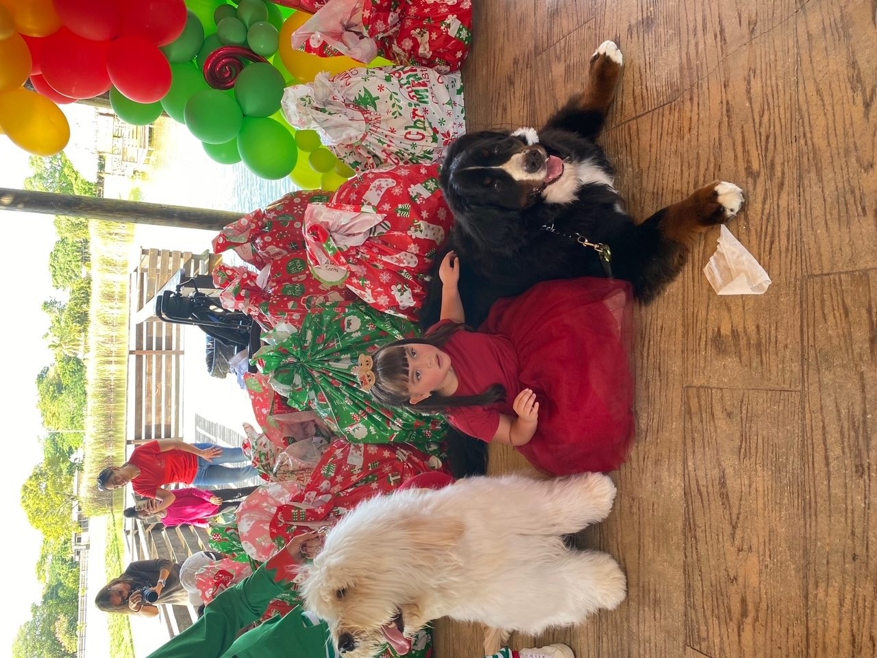 Santa Paws at Big Bear Academy | Ale Ramos Therapy Animals